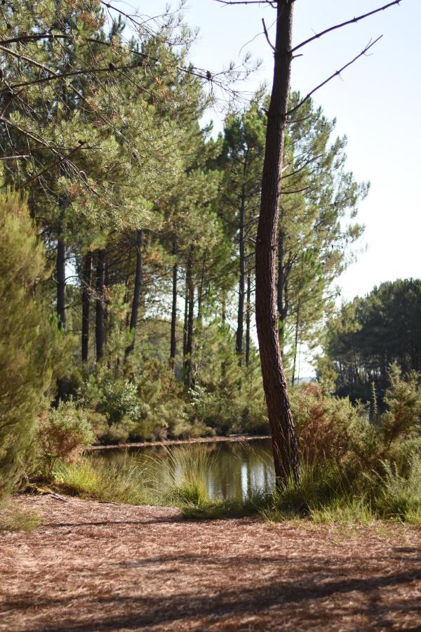 La Cachette Du Lac Lacanau Exterior foto